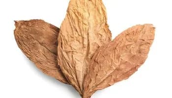 TOBACCO